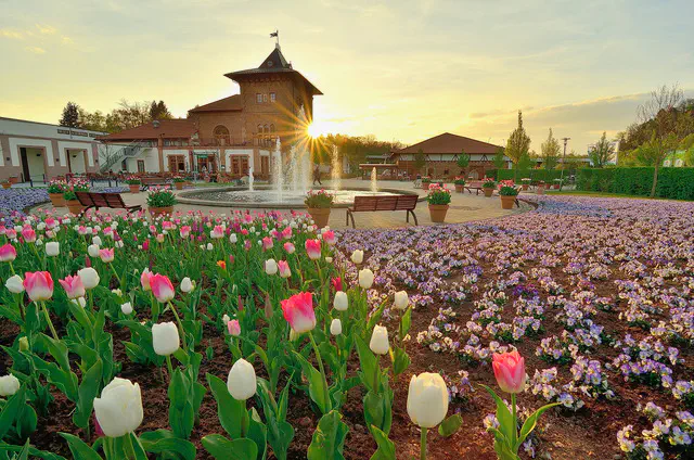 There are nice parks around the city such as the city park and the Gartenschau.